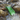 Gold Rat Mini Pocket Sluice